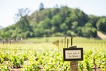 Vineyard Block Signs