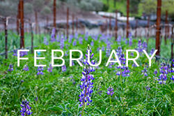 February